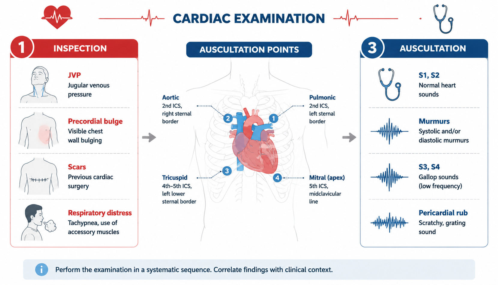 Cardiovascular exam — inspection, palpation, auscultation + 4 auscultation points (心血管检查与四个听诊区)