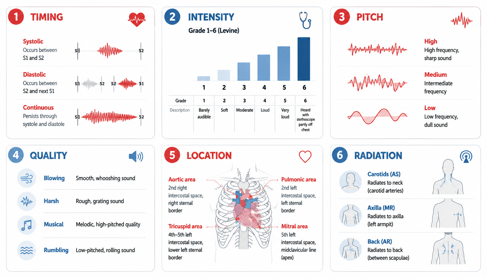 Murmur characteristics — timing, intensity, pitch, quality, location, radiation (心脏杂音系统描述)