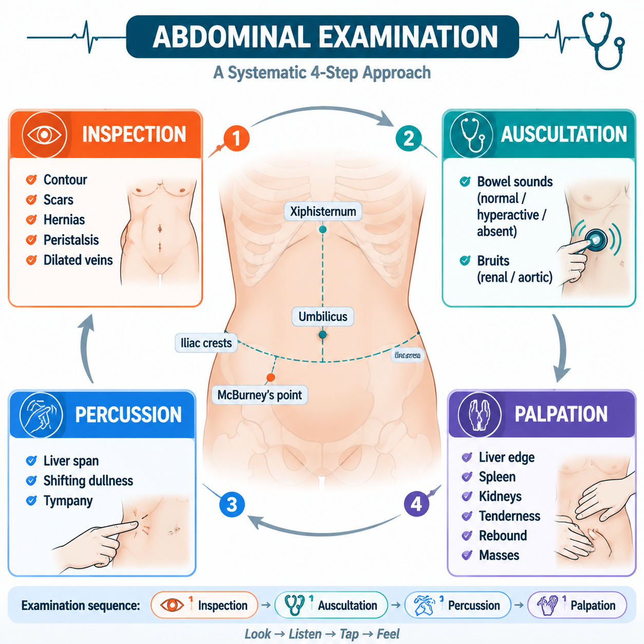 Abdominal exam — 4 steps with surface landmarks (腹部检查四步法与体表标志)