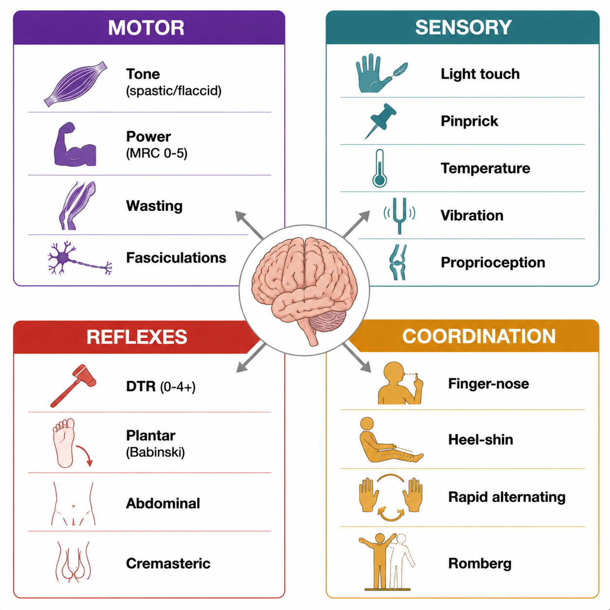 Neuro exam — motor, sensory, reflexes, coordination (神经系统检查：运动、感觉、反射、协调)