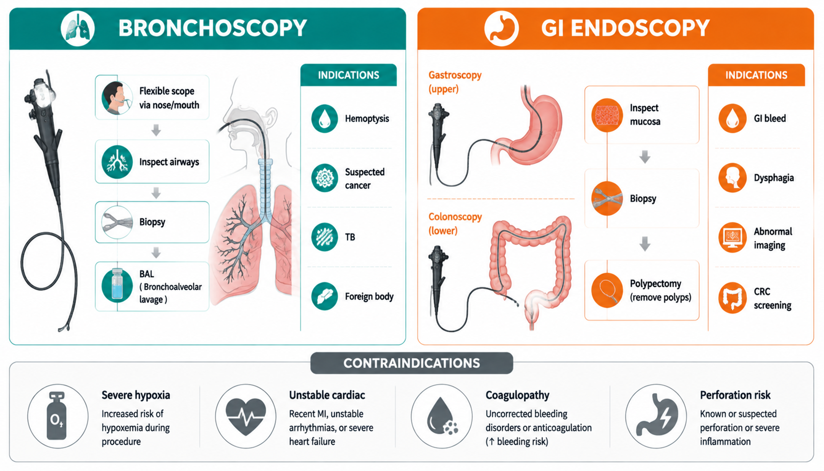 Bronchoscopy + GI endoscopy — techniques, indications, contraindications (支气管镜与胃肠内镜检查)
