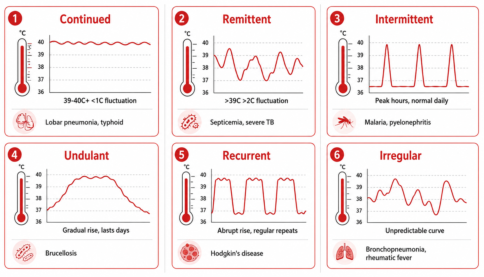 Six fever types with temperature patterns and classic diseases — high-yield exam reference (六大热型与经典疾病)