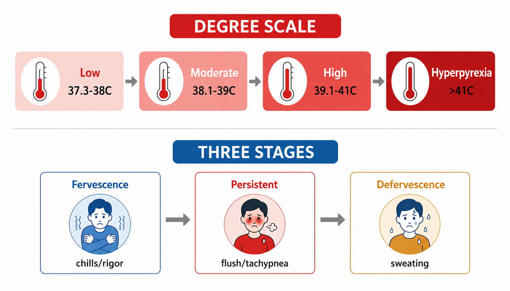 Fever degree scale (4 levels) + three clinical stages with hallmark symptoms (发热程度分级与三期表现)