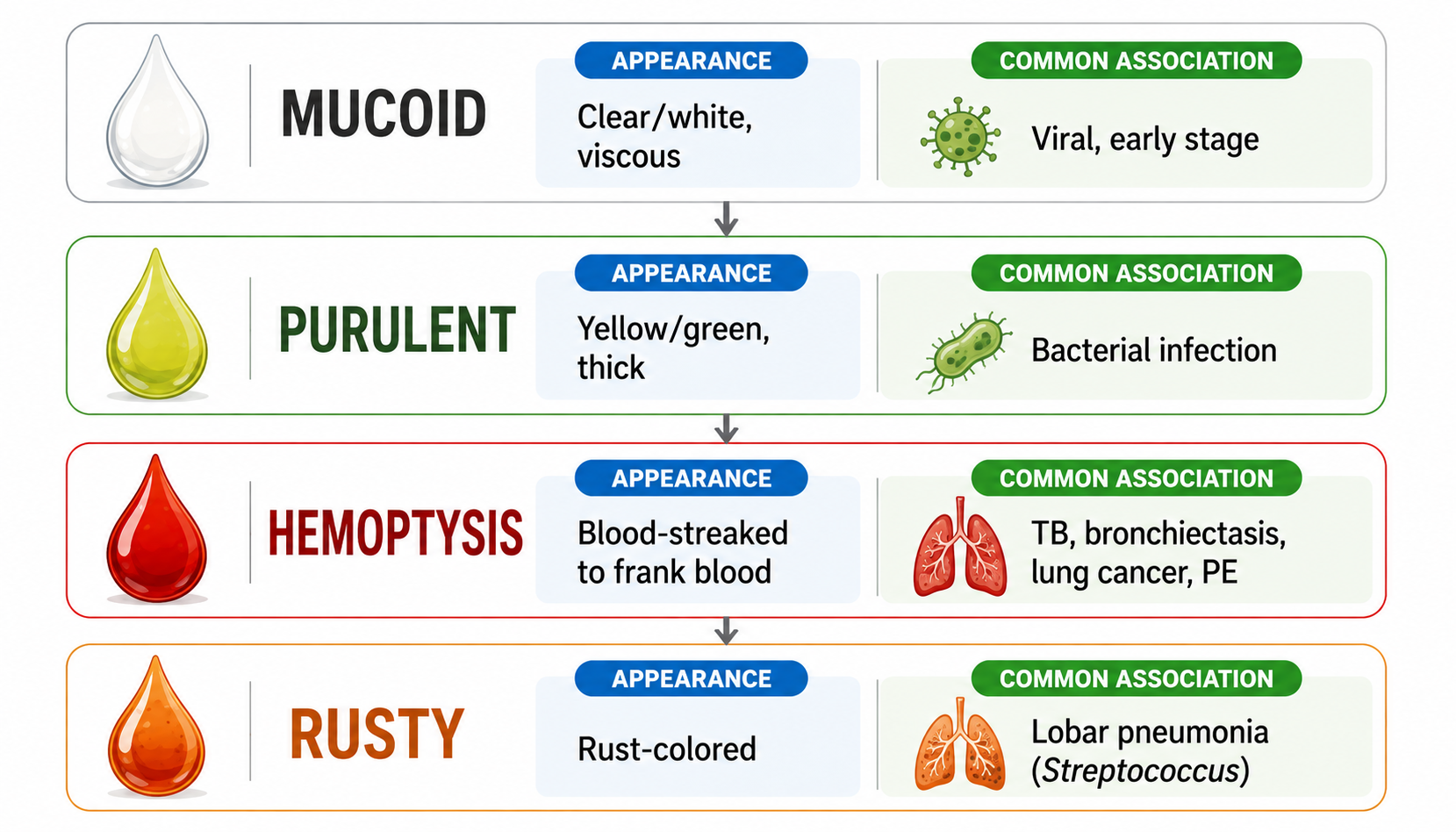 Sputum types by color — mucoid, purulent, hemoptysis, rusty sputum + clinical associations (痰液颜色与临床意义)
