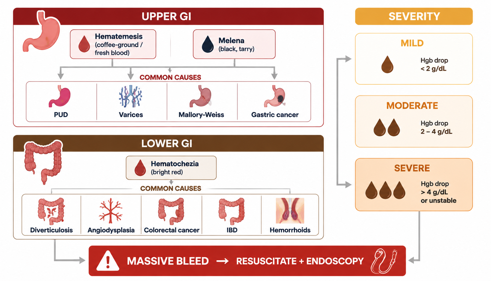 GI bleeding — upper vs lower presentation + causes + severity (消化道出血:上下消化道鉴别与严重程度)