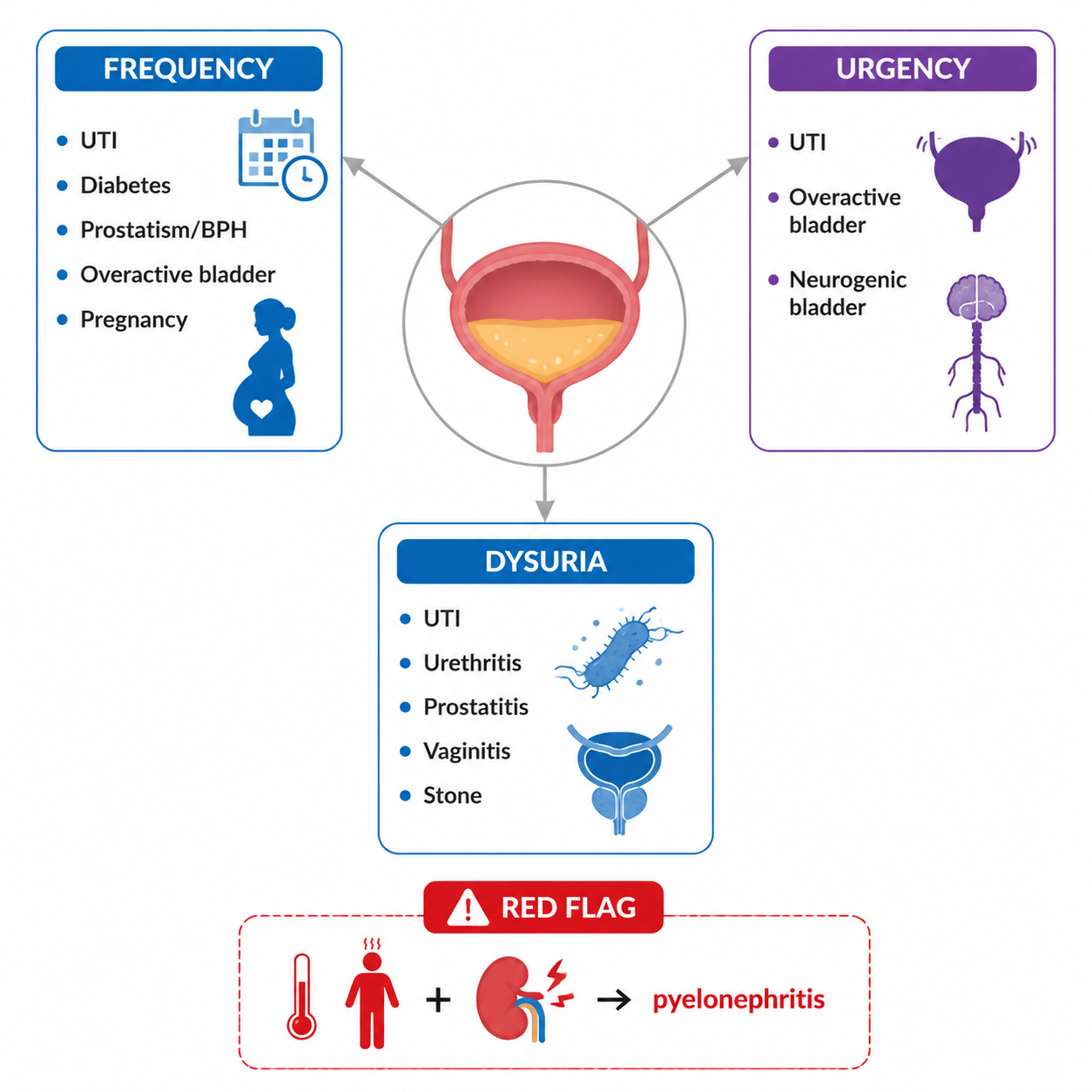 Lower urinary symptoms — frequency, urgency, dysuria differentials (下尿路症状鉴别)