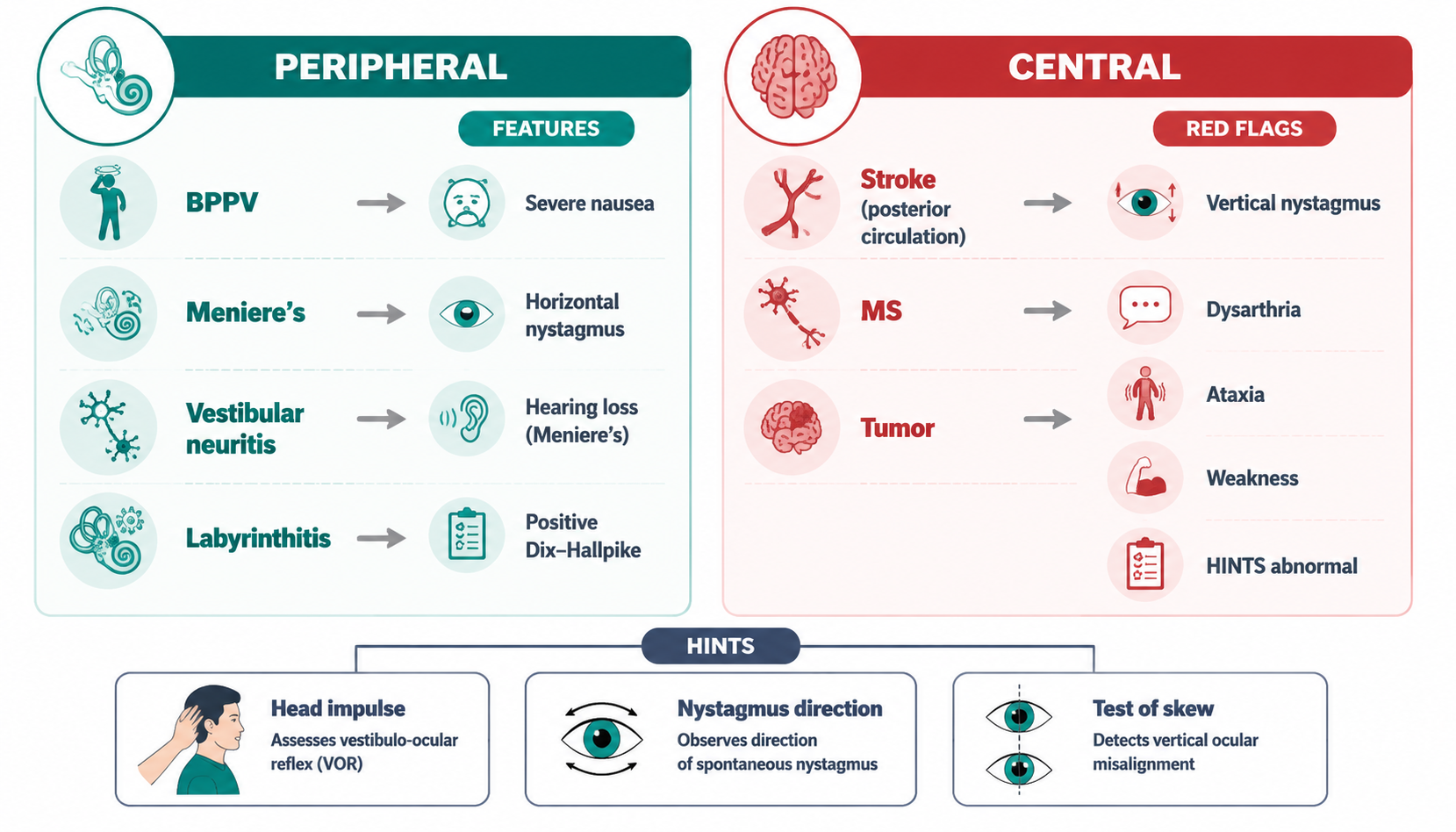 Vertigo — peripheral vs central + HINTS exam (眩晕：周围性与中枢性鉴别及HINTS检查)