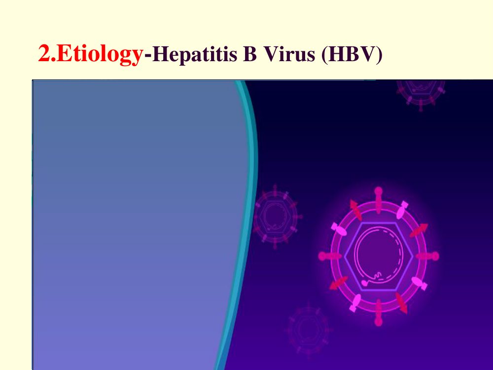 HBV virion (Dane particle) with surface and core antigens — the antigen-antibody system used to diagnose every HBV clinical phase.