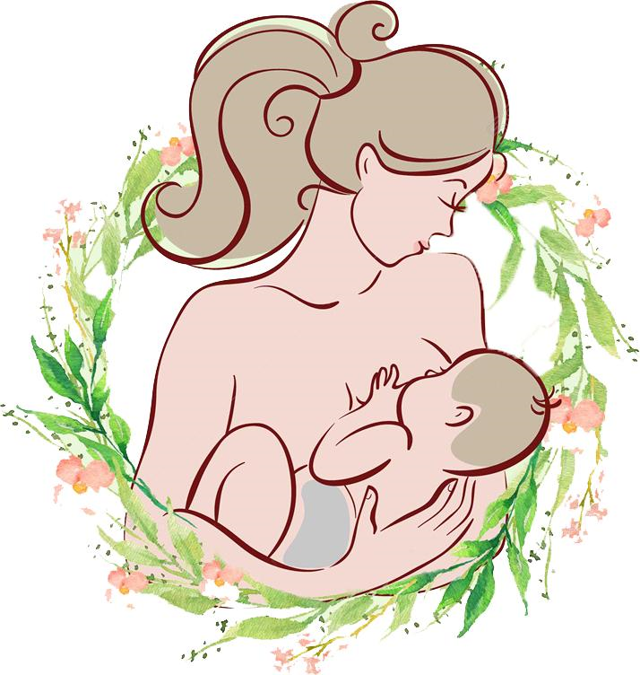 Breastfeeding — colostrum (high protein/immunoglobulin) in the first days; exclusive breastfeeding to 6 months; weaning solids from ~6 months; cow's milk not before 12 months.